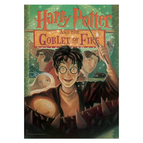 Harry Potter and the Goblet of Fire Book Cover MightyPrint Wall Art Print